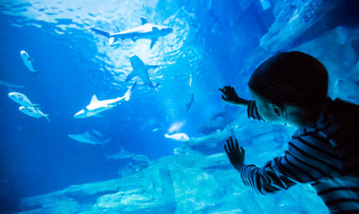 Que Faire A Paris Quand Il Pleut Avec Des Enfants Ou En Couple Come To Paris