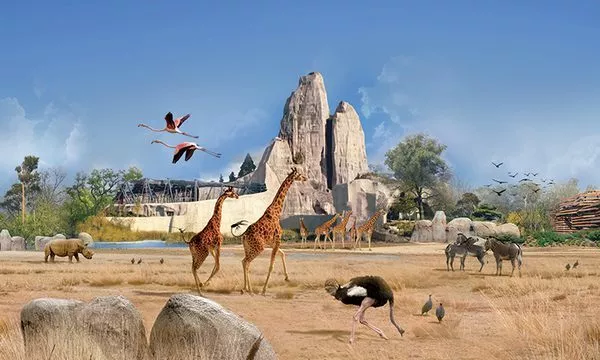 Paris Zoo Information Prices And Tickets Come To Paris Paris Zoo Information Prices And Tickets Come To Paris