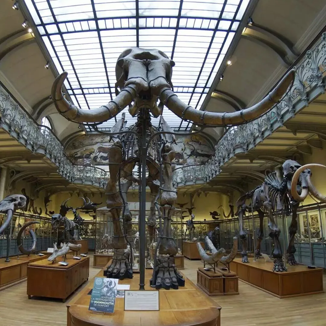 National Museum of Natural History • Come to Paris