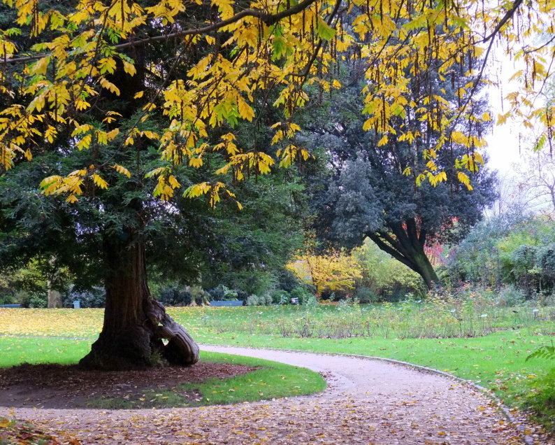 Top 10 Des Lieux Les Plus Romantiques A Paris Come To Paris